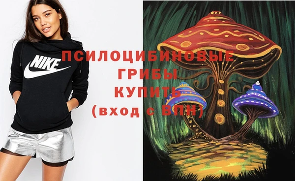 дмт Алексин