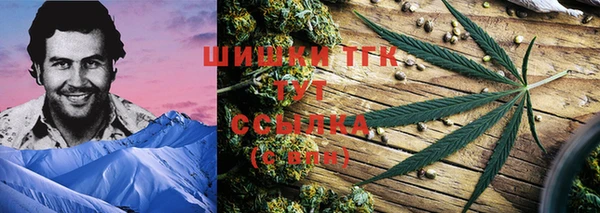 ПСИЛОЦИБИНОВЫЕ ГРИБЫ Алексеевка